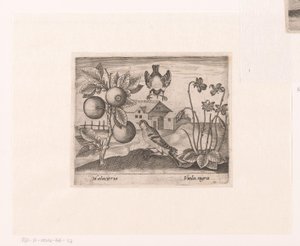 Serie von Drucken mit Blumen und Tieren in einer Landschaft