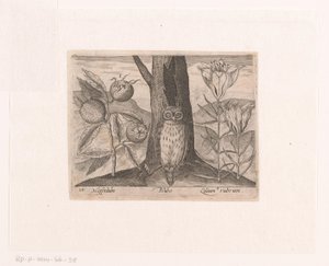 Serie von Drucken mit Blumen und Tieren in einer Landschaft