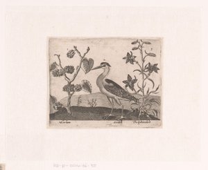 Serie von Drucken mit Blumen und Tieren in einer Landschaft (Landschaften mit Tieren, Pflanzen und Blumen)