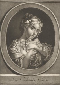 Die geliebte Taube von Johann Jacobus Haid
