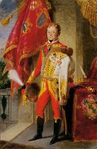 Ignaz Graf Gyulay von Naros-Nemeth und Nadaska in ungarischer Uniform von Johann Peter Krafft