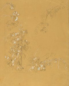 Weinstock, Studie zu "Hermann und Dorothea im Weinberg" von Johann Peter Krafft