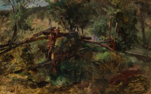 Waldweg mit Zaun von Johann  Till der Jüngere