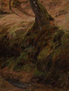Waldböschung mit Baumstamm von Johann Wilhelm Schirmer