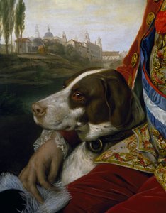 Hund, Detail aus einem Porträt von Ferdinand von Bourbon, Herzog von Parma