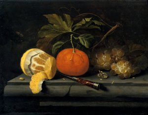 Früchte auf einem Steintisch, ca. 1653-1659 von Johannes Borman