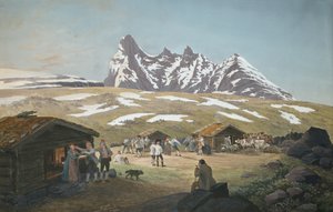 Weideleben unter Skagastølstinderne