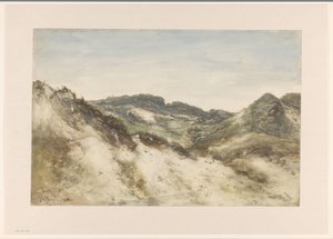 Dünenlandschaft bei Zorgvliet