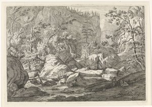 Schlucht mit Felsbrocken und Bäumen (Landschaften im Chartreuse-Gebirge) von Johannes Glauber
