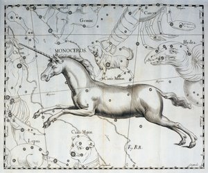 Monoceros, Sternbild des Einhorns, Gravur aus dem Himmelsatlas Firmamentum Sobiescianum sive Uronographia, von Johann Hevelius (1611-1687), Danzig