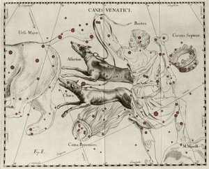 Die Konstellation Canes Venatici, Jagdhunde. Tafel aus „Firmamentum Sobiescanum sive Uranographia“ von Johannes Hevelius oder Hevel (1611-1687) von Johannes Hevelius