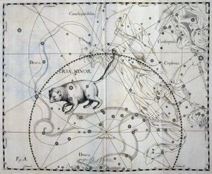 Kleiner Bär, boreale Konstellation des Kleinen Bären, Gravur aus dem Himmelsatlas Firmamentum Sobiescianum sive Uronographia von Johannes Hevelius
