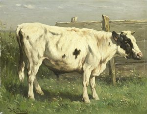 Der junge Stier