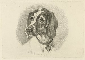 Hundekopf mit Halsband mit Ring von Johannes Mock