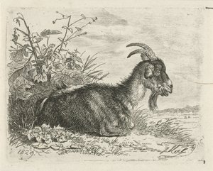 Liegender Bock von Johannes Mock