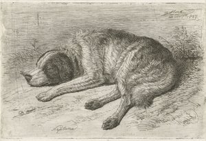 Schlafender Hund nach links von Johannes Mock