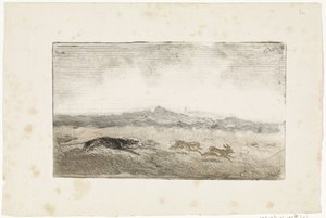 Hasenjagd von Johannes Tavenraat