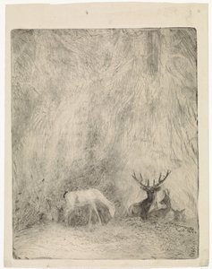 Hirsche in einem böhmischen Wald von Johannes Tavenraat