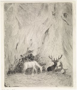 Hirsche in einem böhmischen Wald von Johannes Tavenraat
