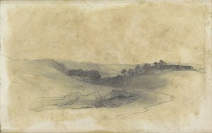 Hügellandschaft mit Bäumen