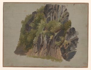 Felsen und Vegetation