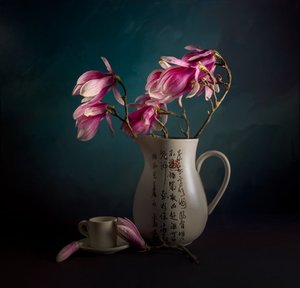 Elegantes Magnolien-Stillleben