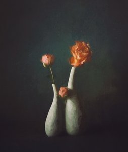 Stimmungsvolle Rosenvase
