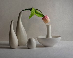 Sanfte Rosa Tulpenvasen