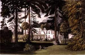 Pelling Place, Gartenfront, aus Ackermanns 