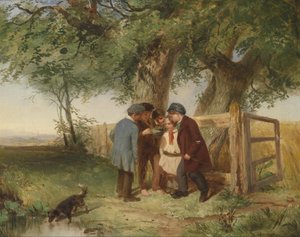 Das Vogelnest von John Blake MacDonald