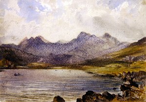 In der Nähe von Llyn Crafrant, Wales