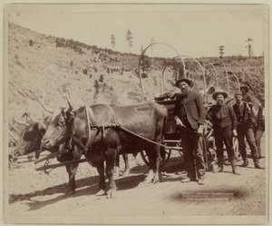 1889 - Goldsucher auf dem Weg zu den Goldfeldern von John C. H. Grabill