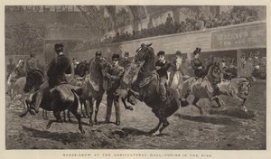 Pferdeschau in der Landwirtschaftshalle, Ponys im Ring von John Charlton