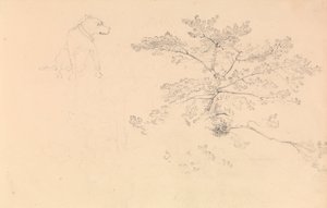 Studie eines Hundes mit Halsband und von Baumzweigen von John Christian Schetky