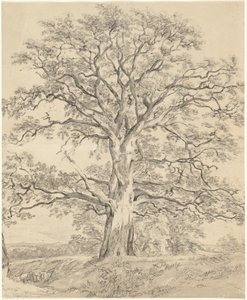 Eine große Eiche von John Constable