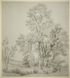 Eine Gruppe von Ulmen (recto); Eine Studie von East Bergholt mit der Kirche (verso) von John Constable