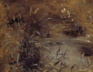 Schilf an einem Teich, ca. 1821 von John Constable