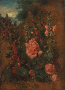 Studie von Stockrosen von John Constable