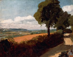 Blick von einer Straße nach East Bergholt