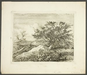 In Bawburgh von John Crome