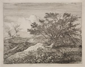 In Bawburgh von John Crome