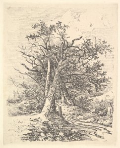Baumstämme und Weg, 1811-13 von John Crome