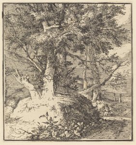 Baum auf einem Hügel