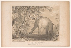 Karikatur mit Lord Ellenborough als wilder Elefant von John Doyle