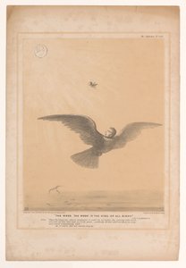 Karikatur mit Lord Russell als Zaunkönig