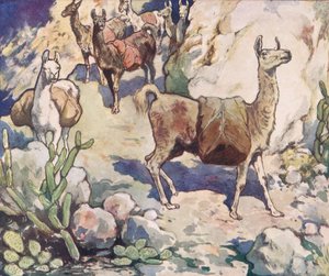 Alpakas auf einem Bergpfad, Illustration aus 