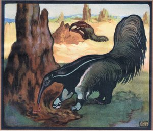 Ameisenbär