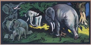 Elefant in der Wildnis
