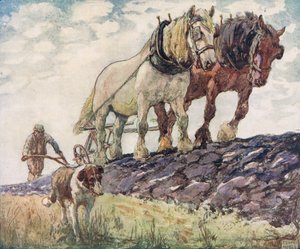 Pflügen des Feldes, Illustration aus 