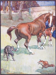 Die Stute hob ihren Huf, Illustration für Reineke Fuchs, aus Tierlegenden aus vielen Ländern, veröffentlicht von Raphael Tuck & Sons Ltd. von John Edwin Noble